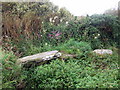 Footbridge on Ffos-y-Mynych