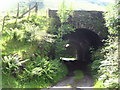 Bridge under the disused Newport to Tredegar railway.