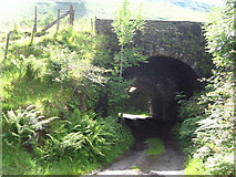 SO1604 : Bridge under the disused Newport to Tredegar railway. by Jessica Aidley