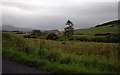 Abandoned farm buildings