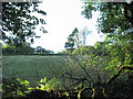 View upslope towards the minor road