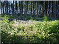 Sheepfold at Glenshalloch