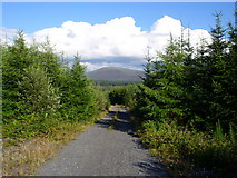 NX4470 : Forestry road . by Mark McKie