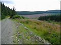 Track in the Eskdalemuir Forest