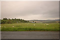 Fields and Newton of Braco Farm