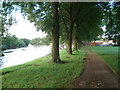 SO8456 : Riverside walk at Pitchcroft by Trevor Rickard