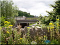 H9853 : New  Ballybay River Bridge with Old Bridge in the foreground by P Flannagan