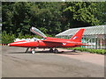 Gnat at Reynard Nurseries