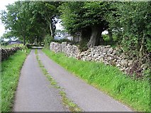 G8763 : Road at Ballyshannon by Kenneth  Allen