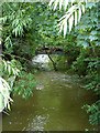 Footbridge, Bettws Cedewain