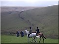 Hunting on Hangley Cleave, having crossed Kinsford Water