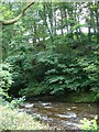 River Rhiw | Afon Riw