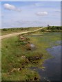 SZ3292 : Approaching the sea wall, Pennington Marshes by Jim Champion