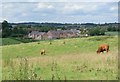 Farmland south of Goadby, Leicestershire