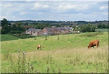SP7598 : Farmland south of Goadby, Leicestershire by Mat Fascione