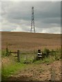 SP7496 : Footpath and pylon by Mat Fascione