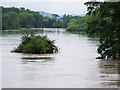 Flooded River Avon