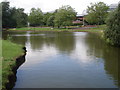 Large pond at County Hall