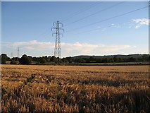 SJ2934 : Barley near Gobowen by Richard Webb