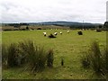 Crockmoran Townland