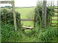 Stile on the Eddisbury Way