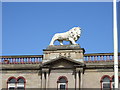 Huddersfield - John William Street, lion statue