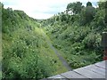 Railway cutting east of Goldthorpe