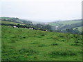 Fields looking across to Buckland