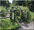 Curious stile at the entrance to the Rough Wood Nature Reserve