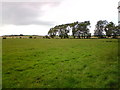 NZ0573 : Pasture Land by Graham Scarborough