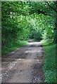 Track towards Clarendon Palace ruins