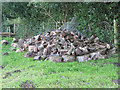 SO6222 : Timber pile in the orchard by Pauline E