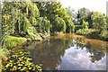 River Stour at Wixoe Mill