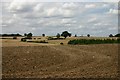 Farmland near Steeple Bumpstead