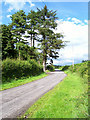 Road near Tal-y-Garn