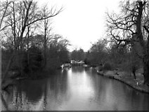SU6376 : Whitchurch Lock, River Thames by Dr Neil Clifton