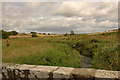 Bridge at Mill of Tarty