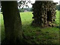 Barwick House from the Fish Tower