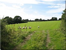 SO4275 : Limestone pastures by Richard Webb