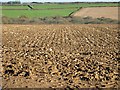 SW7847 : Ploughed Field by Tony Atkin