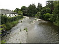 NY1525 : The River Cocker at Low Lorton by Andy Beecroft