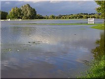 SU7374 : The Thames floodplain near Reading by Andrew Smith