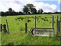 Glengomma Townland