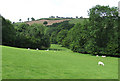 Farmland east of Llanddewi-Brefi, Ceredigion