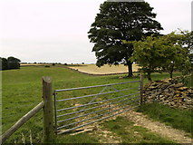 SE9284 : Gate and Field by Andy Beecroft