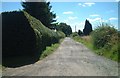 Bridleway south to Walkhamwood Farm