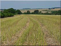 SU1733 : Farmland near Winterbourne Earls by Andrew Smith