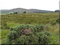 Ballynagilly Townland