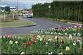 The Old Shore Road, Newtownards