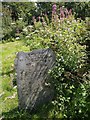 Gravestone at Cookbury